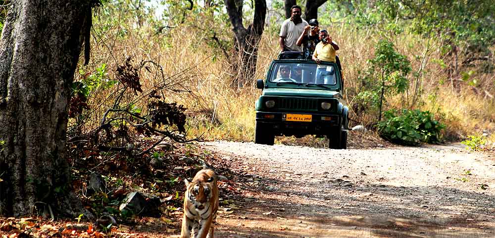 Nanital Tour Package By Car From Delhi